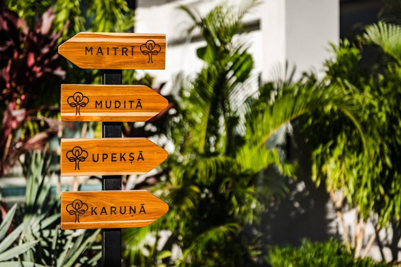 Mvillas Luxury Villas With Beach Club Access & Sauna تاماريندو المظهر الخارجي الصورة
